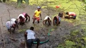 কোন পথে পালানোর চেষ্টা, কীভাবে মোবাইল পুকুরে? TMC MLA জীবন সাহাকে সঙ্গে করে ঘটনার পুনর্নির্মাণ CBI-এর 