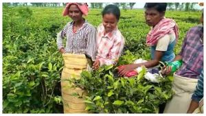 কিছু না পেয়ে  'টিফিন চুরি' মাকনার! বামনডাঙ্গা চা বাগানে হুলস্থূল কাণ্ড 