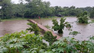 North Bengal Rain: অবিশ্রান্ত বর্ষা ভুটান পাহাড়ে, ফুঁসছে ডুয়ার্সের নদীগুলি, সংকট বাড়ছে আলিপুরদুয়ারে