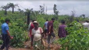 জঙ্গলে কাঠ কুড়োতে গিয়ে চমকে উঠলেন আদিবাসীরা, খবর পেয়ে ছুটে গেল পুলিশ