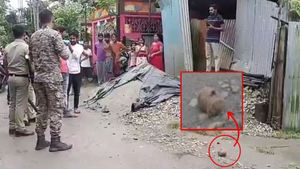 কোচবিহারে ফের উত্তেজনা, বিজেপি যুবমোর্চার সহ সভাপতির বাড়ির সামনে বোমা উদ্ধার