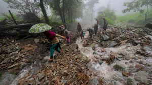 North Bengal Weather alert: ১৫ অগাস্টের ছুটিতে দার্জিলিং যাচ্ছেন? জেনে নিন কেমন থাকবে আবহাওয়া