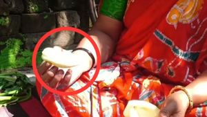 পেঁপে কাটতেই ভিতরে আস্ত আরেকটা পেঁপে! দায়ী কি পরিবেশ নাকি অন্য কিছু, কী বলছেন উদ্ভিদবিদরা  