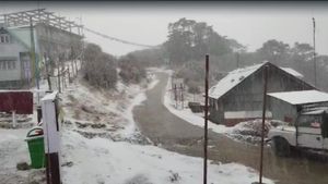 Sandakphu: তাপমাত্রা দ্রুত নামছে, মরসুমের প্রথম তুষারপাত সান্দাকফুতে 