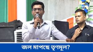 Abhishek Banerjee: নবীন-প্রবীণ দ্বন্দ্ব তৃণমূলে, আজ কী বার্তা দেবেন অভিষেক? জল্পনা তুঙ্গে