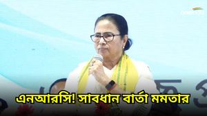 বিএসএফের দেওয়া আইকার্ড নিলেই এনআরসিতে নাম! চাঞ্চল্যকর দাবি মমতা বন্দ্যোপাধ্যায়ের