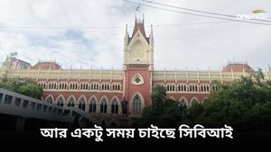 সন্দেশখালির ঘটনায় হাইকোর্টকে আধিকারিকের নাম দিতে পারল না সিবিআই, কিন্তু কেন? 