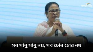 বিজেপিকে বিনা যুদ্ধে এক ইঞ্চিও জমি নয়, এজেন্সির তদন্তকে কাঠগড়ায় তুললেন মমতা বন্দ্যোপাধ্যায় 