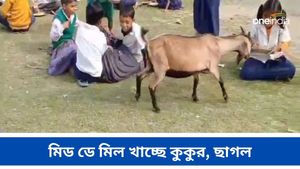 কালনায় ভেঙে পড়ছে স্কুলের ঘর, মাঠে পড়ুয়াদের সঙ্গে মিড ডে মিল খাচ্ছে ছাগল, কুকুর 