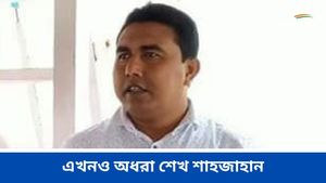 Sandedhkhali: বাংলাদেশ যাননি, সন্দেশখালিতেই রয়েছেন শেখ শাহজাহান, বলছেন স্থানীয়রা? 