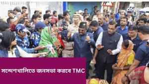 Sandeshkhali: লোকসভা ভোটের আগে সন্দেশখালি নিয়ে Big প্ল্যানিং তৃণমূলের, কোন টার্গেটে এগোচ্ছে TMC