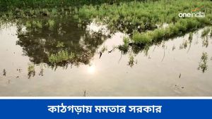 রাজ্যের জলাধারের ছাড়া জলের তলায় বিঘার পর বিঘা জমির ফসল! কৃষকদের কাঠগড়ায় মমতার সরকার 
