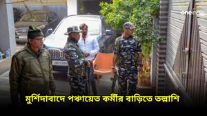 ED Raid: ১০০ দিনের কাজে দুর্নীতির অভিযোগ, বহরমপুরে পঞ্চায়েত কর্মীর বাড়িতে তল্লাশি ইডির