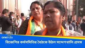 Sandeshkhali: বিজেপির কর্মসমিতির বৈঠকে উঠল সন্দেশখালি প্রসঙ্গ! শাহ বললেন, হৃদয় বিদারক ঘটনা