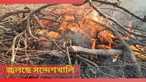 Sandeshkhali Incident: জ্বলছে সন্দেশখালি! তৃণমূল থেকে অপসারিত শেখ শাহজাহানের ভাই