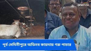 পর্দা ঢাকা বাসের পরে আরও অভিনব কায়দায় গরু পাচার! সৌমেন্দু অধিকারীর নিশানায় অভিষেক বন্দ্যোপাধ্যায় 