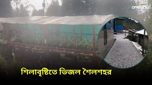 Darjeeling: ভোটের উষ্ণতার মাঝে প্রকৃতির হিমেল পরশ, হঠাৎ শিলাবৃষ্টিতে ভিজল পাহাড়