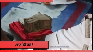 Lok Sabha Election 2024: গাড়ি খুলতেই উদ্ধার লক্ষ লক্ষ টাকা! ভোটের মুখে গ্রেফতার বিজেপির প্রভাবশালী এই নেতা