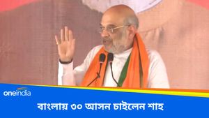  Amit Shah: ৩৫ নয় ৩০টি আসন দিয়ে দিন, হঠাৎ করে বাংলার আসনের টার্গেট কমালেন কেন শাহ