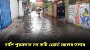 রাতভর তাণ্ডব চালিয়েছে রেমাল, হাওড়ার বিস্তীর্ণ এলাকা জলের তলায়
