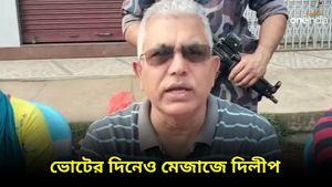 Dilip Ghosh: 'গণ্ডগোল করতে এলে পারমানেন্টলি ঘরে ঢুকিয়ে দেব', ভোটের দিনেও মেজাজে বিজেপি প্রার্থী দিলীপ ঘোষ