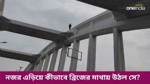 হাওড়ায় ব্রিজের মাথায় হাঁটছেন এক যুবক, হাড়হিম করা ঘটনা, কী হল তারপর? 