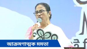 এবার আর ছাড়বেন না, গাছে বেঁধে আদর করতে চান, কিন্তু কাকে? কল্যাণের প্রচারে আর কী বললেন মমতা 