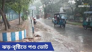 Lok Sabha Vote 2024: আকাশ কালো করে তুমুল বৃষ্টি বনগাঁ-ব্যারাকপুরে, ভোটের লাইন ছেড়ে ছুটলেন ভোটাররা