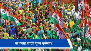 Bagda By Election Result 2024: পদ্মঘাঁটি বাগদায় ফুটবে ঘাসফুল! সবার নজর শনিবারে