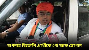 Bagda By Election: বাগদায় বিজেপি প্রার্থীকে গো ব্যাক স্লোগান, তৃণমূল কর্মীদের সঙ্গে কেন্দ্রীয় বাহিনীর বচসা