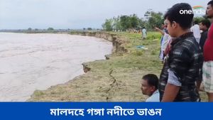 গাছ, বাড়ি সবই তলিয়ে যাচ্ছে গঙ্গায়, রতুয়ায় ভয়াবহ নদী ভাঙন