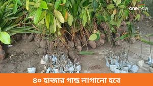 বাঁকুড়ার বিহারীনাথ পাহাড়ে এবার ৪০ হাজার গাছ লাগানোর উদ্যোগ বন দফতরের 