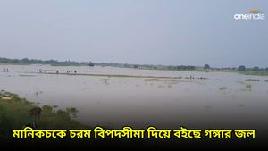 মালদহের মানিকচকে বন্যা, গঙ্গার প্রবল স্রোত ভাসিয়ে নিচ্ছে বাড়িঘর