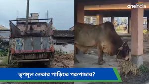 মালদহে তৃণমূল পঞ্চায়েত সদস্যের গাড়িতেই বাংলাদেশে গরুপাচার? 