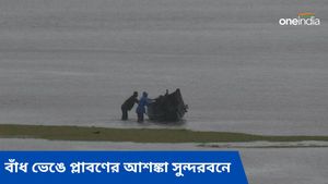 অমাবস্যার কোটালে ভাসতে পারে সুন্দরবনের বিস্তীর্ণ এলাকা, হলুদ সতর্কতা জারি 