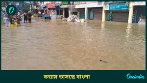 West Bengal Flood Situation: উৎসবের মরশুমে 'ম্যান মেড বন্যা' বাংলায়, পরিস্থিতি খতিয়ে দেখতে ছুটলেন মমতা 
