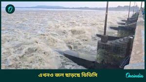 ডিভিসি কতটা জল ছাড়ল সকালে? বন্যা পরিস্থিতি দেখতে পাঁশকুড়ায় মুখ্যমন্ত্রী 