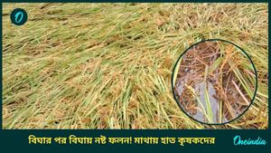 Cyclone Dana West Bengal Effect: বিঘার পর বিঘা জমিতে দাঁড়িয়ে জল, নষ্ট ফলন! বিমা টাকা মিলবে? শঙ্কায় কৃষকরা