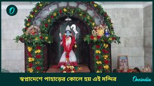 Kali Puja 2024: দুর্যোগের আঁচ আসেনি কখনও, বোয়াল মাছের ভোগে পূজিত হন মা সেবকেশ্বরী