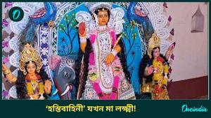 Laxmi Puja 2024: পেঁচা নয়, বাংলার এই গ্রামে হাতির পিঠে চেপে আসেন মা লক্ষ্মী! রইল সেই ভিডিও 