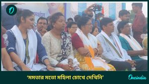 West Bengal By Election 2024: বিরিয়ানির হাড়িতে এখন বেশি লাল কাপড়! কেন এমন বললেন তৃণমূল সাংসদ