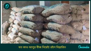 West Bengal News: দু'হাজার টাকার আলুর বীজ বিক্রি হচ্ছে না ৫০০ টাকাতেও! মাথায় হাত ব্যবসায়ীদের