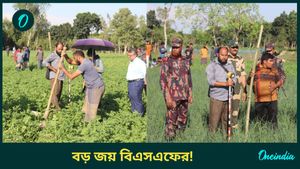 এক চুলও নয়... 'যুদ্ধ' না করেই বড় জয় বিএসএফের! দখল করা ভারতের জমি ফেরাল বাংলাদেশ 