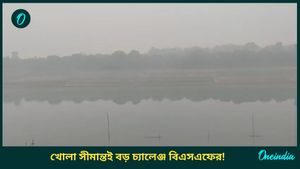 লুঠ হওয়া আগ্নেয়াস্ত্র নিয়ে ভারতে হামলার ছক বাংলাদেশি জঙ্গিদের! গোয়েন্দা বার্তা মিলতেই আরও সতর্ক BSF