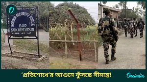 'ওটা রাজনীতির জায়গা নয়', মুখ্যমন্ত্রীর মন্তব্যে ক্ষুব্ধ ভারত-বাংলাদেশ সীমান্তের বাসিন্দারা! জানেন কী বলছেন?