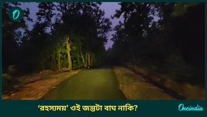 ডোরাকাটা ও বাছুরের চেয়ে একটি বড় জন্তু...বাঁকুড়ার জঙ্গলে ওটা আসলে কী? 'রহস্যময়' প্রাণীর খোঁজে অ্যালার্ট জেলায়