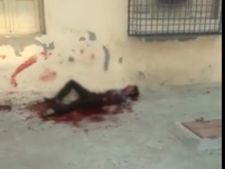 Viral Video: શું ગુજરાતમાં માણસાઇ મરી પરવારી છે?