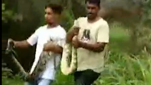 ડભોઈના કાયાવરોહણ ગામના ખેતરમાંથી 9 ફીટ લાંબો અજગર નિકળ્યો