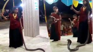 કોબ્રા સાપને હાથમાં લઈને છોકરીઓએ ગરબા કર્યા, વીડિયો વાયરલ