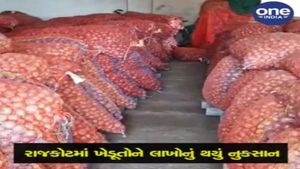 રાજકોટમાં ખેડૂતોને ડુંગળીના પાકમાં થયુ લાખોનુ નુકશાન